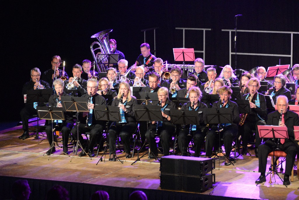 ../Images/Jubileumconcert 100 jaar Harpe Davids 263.jpg
